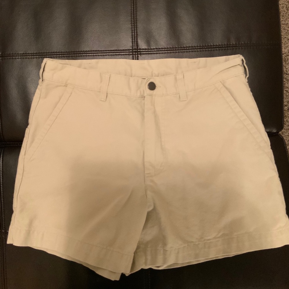 Patagonia Shorts